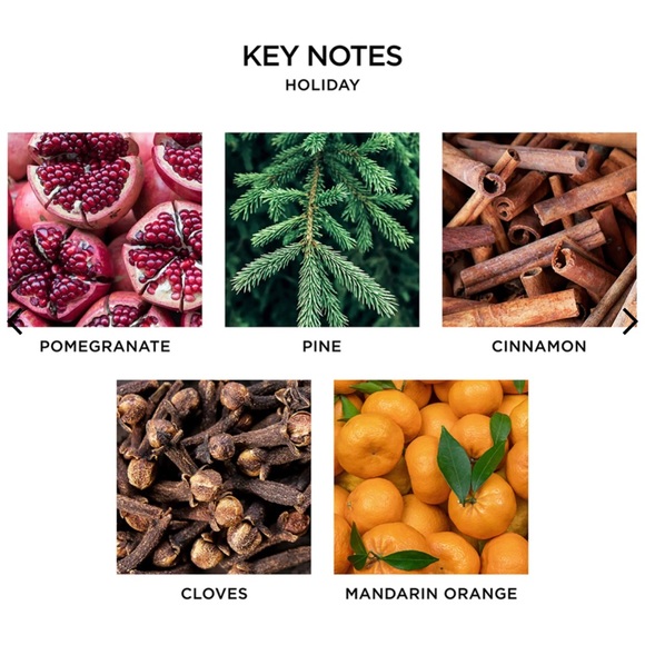 NEST Fragrances Classic Candle “Holiday” 8.1oz, Nest Candle NEW IN BOX - Picture 3 of 8